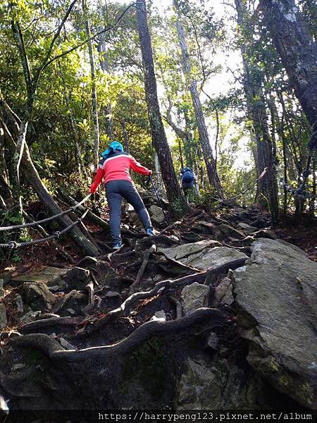 DSC_0635 - 複製 - 複製.jpg