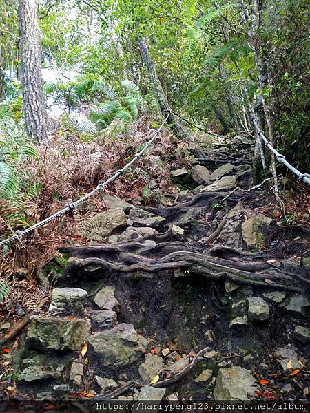 DSC_0646 - 複製 - 複製.jpg DSC_0646 - 複製 - 複製.jpg