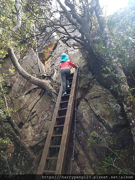 DSC_0664 - 複製 - 複製.jpg DSC_0664 - 複製 - 複製.jpg
