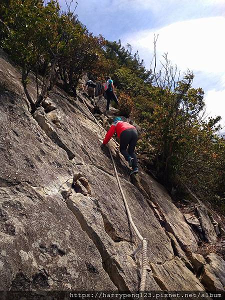 DSC_0684 - 複製 - 複製.jpg DSC_0684 - 複製 - 複製.jpg