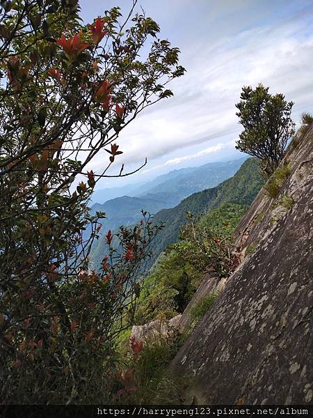 DSC_0701.jpg DSC_0701.jpg