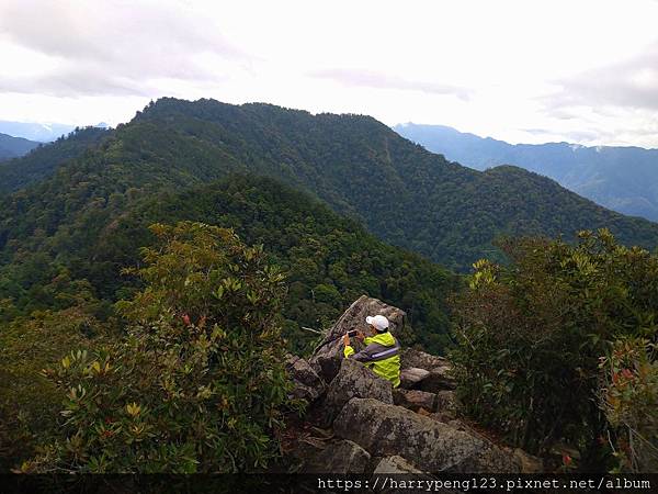 DSC_0705.jpg DSC_0705.jpg