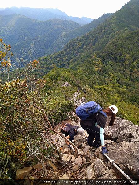 DSC_0707.jpg DSC_0707.jpg