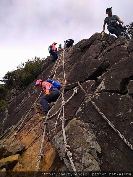 DSC_0711.jpg DSC_0711.jpg