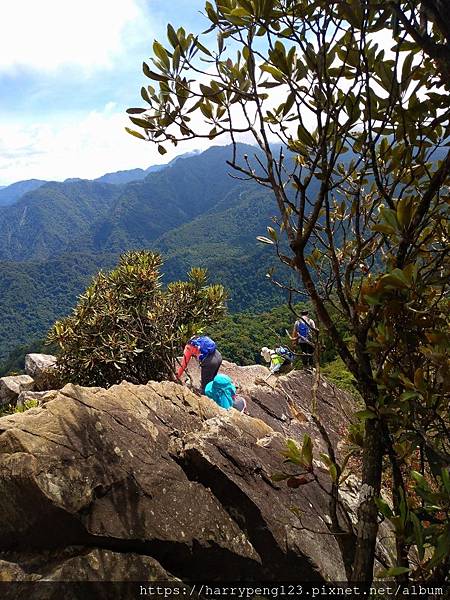 DSC_0715.jpg DSC_0715.jpg