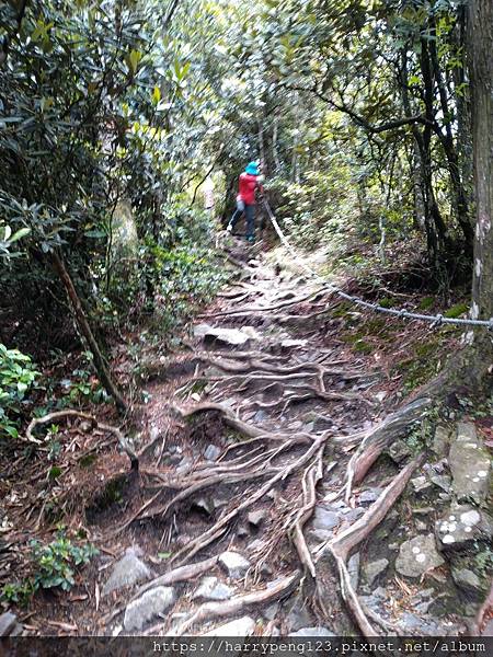 DSC_0719.jpg DSC_0719.jpg