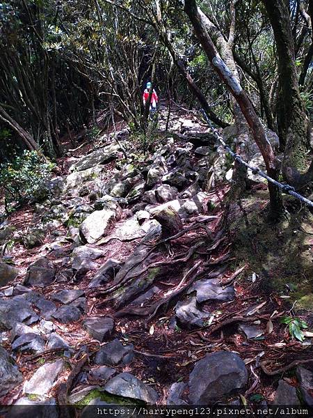 DSC_0722.jpg DSC_0722.jpg