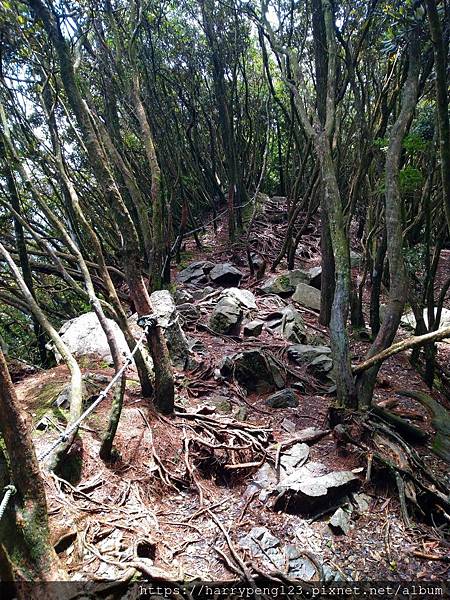 DSC_0723.jpg DSC_0723.jpg