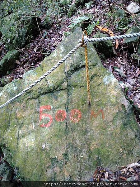 DSC_0726.jpg DSC_0726.jpg