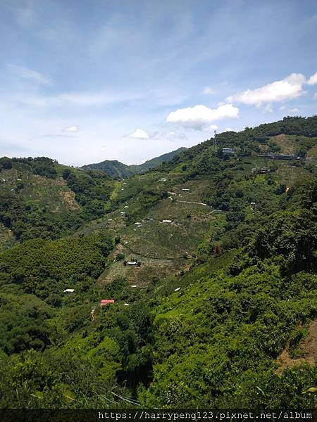 DSC_0736.jpg DSC_0736.jpg