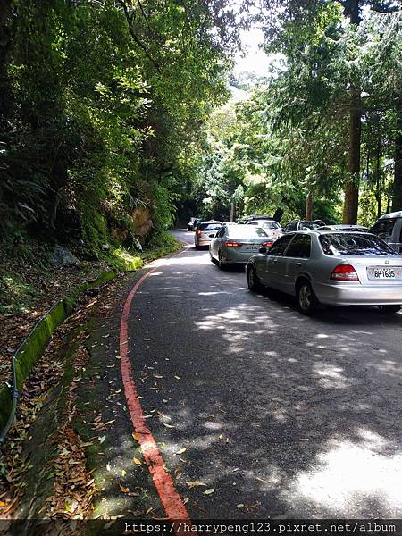 DSC_0732.jpg DSC_0732.jpg