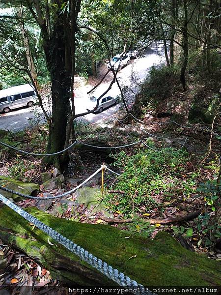 DSC_0729.jpg DSC_0729.jpg