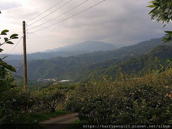 DSC_0771.jpg DSC_0771.jpg