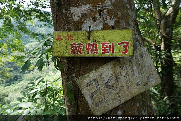 炎夏馬胎古道清涼行，大口呼吸滿滿負離子！