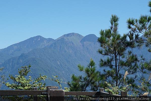 東卯山