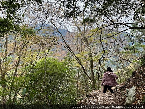 LINE_ALBUM_德芙蘭步道_240227_21.jpg