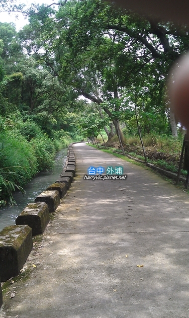 桐花步道 桐花步道