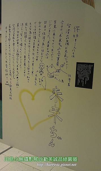 川島小鳥攝影展 川島小鳥攝影展