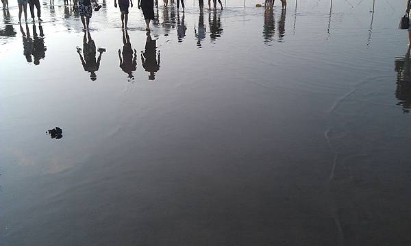 高美濕地水中倒影 高美濕地水中倒影