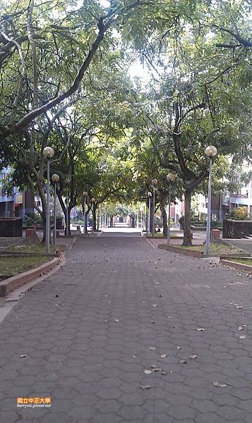 中正大學宿舍區 中正大學宿舍區