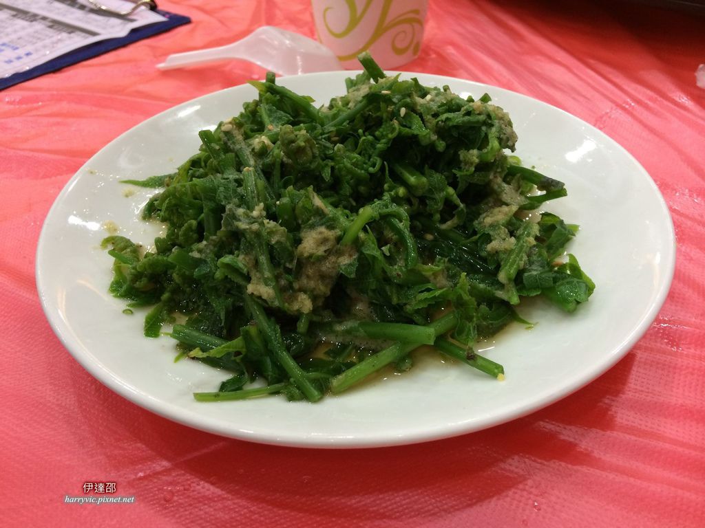 午餐-桂貓 午餐-桂貓