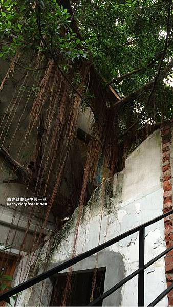 綠光計劃_2 綠光計劃_2