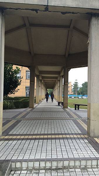 花蓮-東華大學長廊 花蓮-東華大學長廊