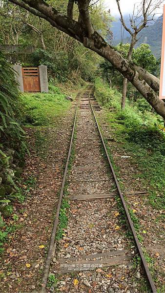花蓮-林田山業_鐵路未知的延伸 花蓮-林田山業_鐵路未知的延伸
