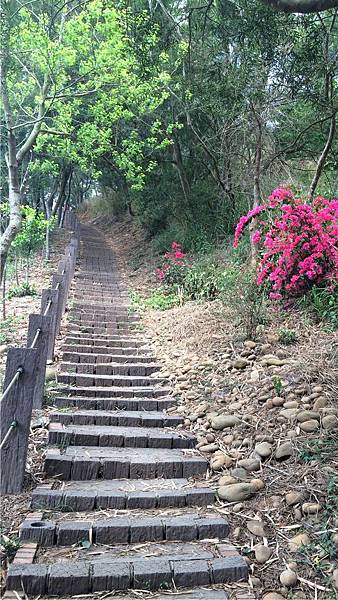 大肚山萬里長城步道-02 大肚山萬里長城步道-02