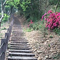 大肚山萬里長城步道-02