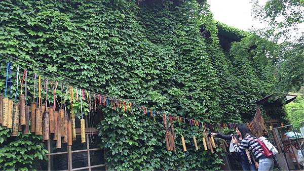 菁桐-生活館外佈滿植物 菁桐-生活館外佈滿植物