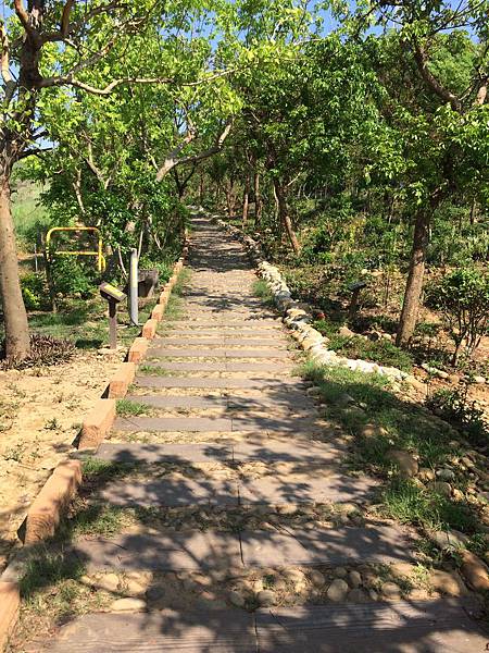 竹坑南寮步道-01 竹坑南寮步道-01