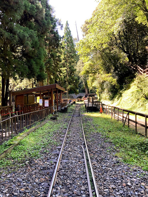 阿里山神木車站