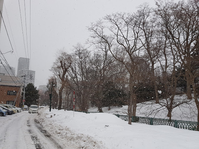 中島公園旁 大雪紛飛