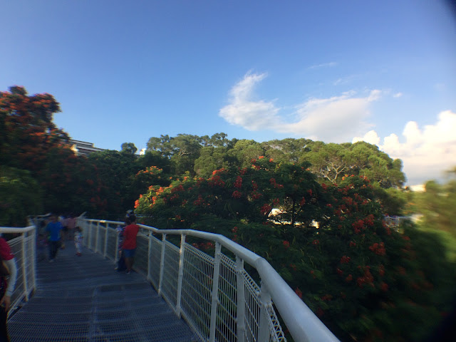 八卦山天空步道