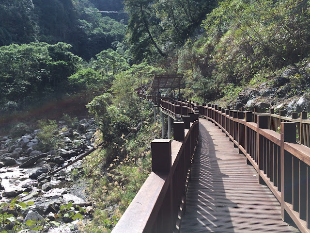 八仙山森林遊樂區-無障礙步道折返點