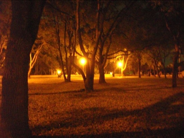 東海大學校園 東海大學校園