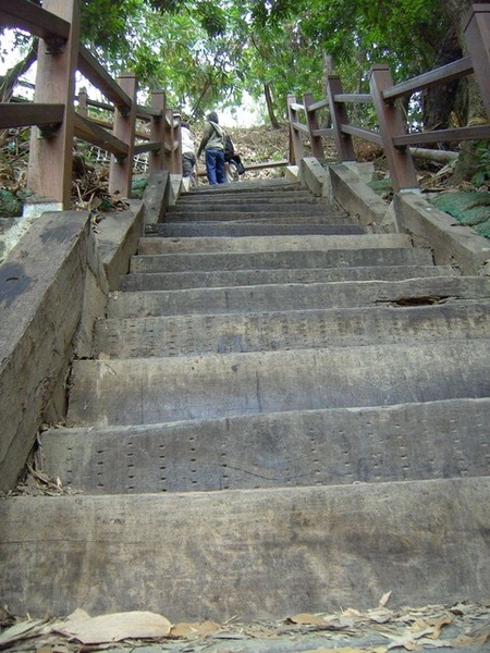 大坑10號步道陡峭