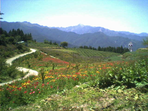 福壽山園區 福壽山園區