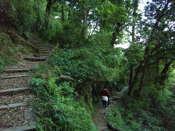 下山途中 下山途中