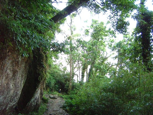 大凍山步道