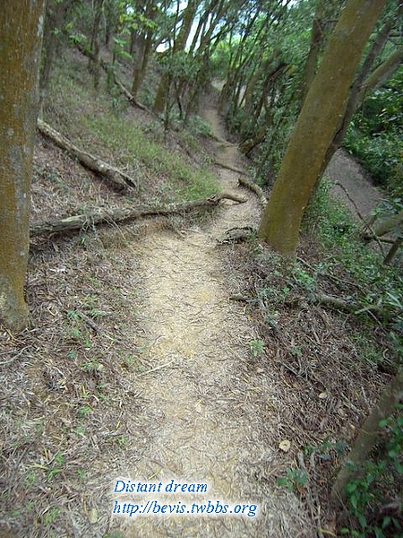 奧山步道下山