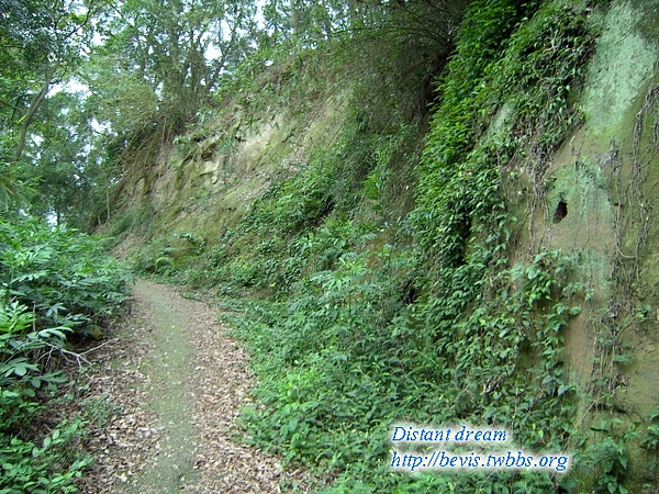 霧峰特有的半面山壁