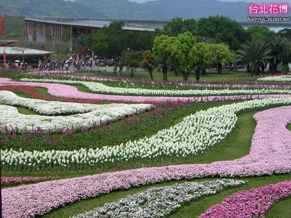 林下花圃花海區