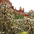 Sedona AZ (10).JPG