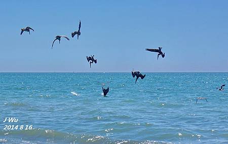 20140817 LB sand sculpture (157).JPG