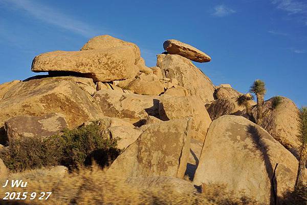 0927 Joshua Tree NP  (11).JPG