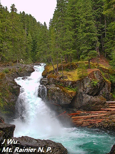 0803 Mt Rainier (3).jpg