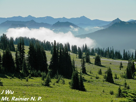 0803 Mt Rainier (7).JPG