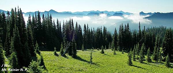 0803 Mt Rainier (49).JPG